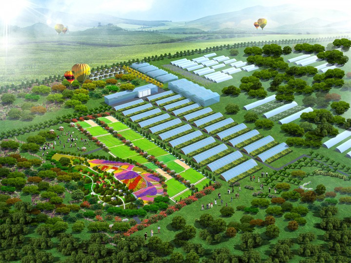 中农四方-农业规划设计网-都市休闲农业,农业嘉年华