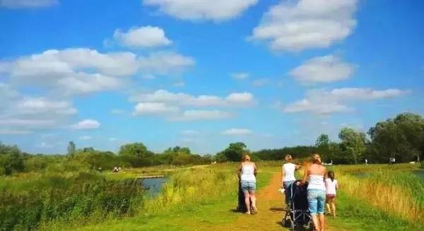 1540804261739197.jpeg 8.jpeg