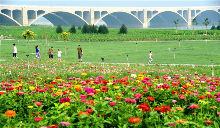 滹沱河蝶变.jpg
