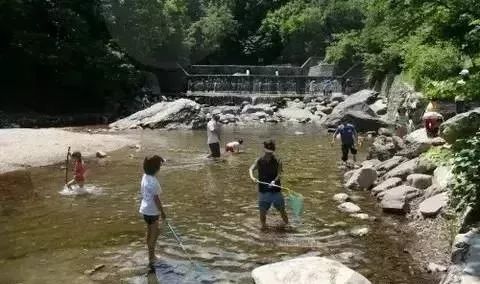 1540804307492441.jpeg 11.jpeg