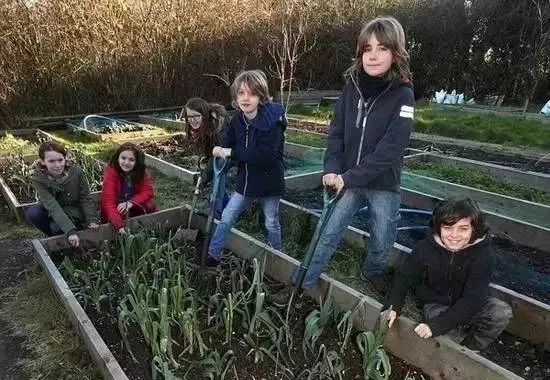 1540804314150034.jpeg 12.jpeg