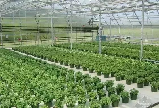 1540804321594659.jpeg 13.jpeg