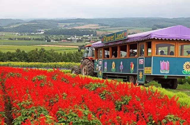 1541667472857215.jpg 1.jpg