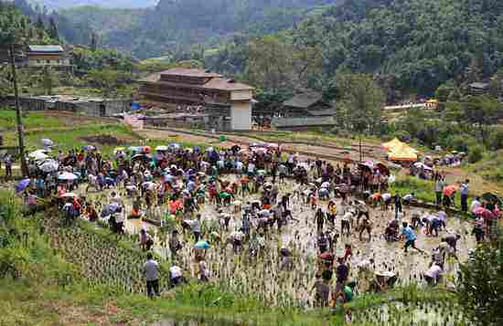 1572426433712858.jpg 1.jpg