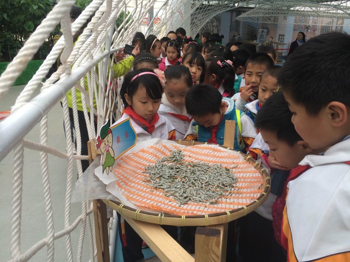 1572426557922887.jpg ee.jpg