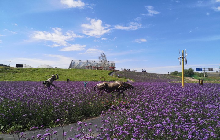 1572426712177023.jpg eee.jpg