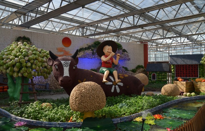 1572426722720915.jpg ddd.jpg