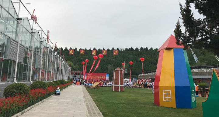 111.jpg