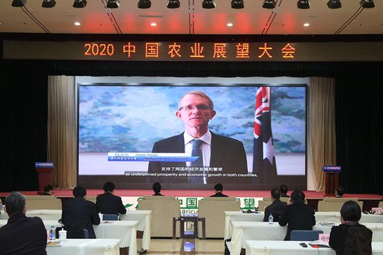 傅关汗.jpg