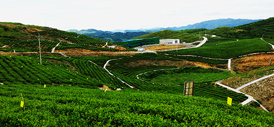 1592545372405809.jpg u=1259025025,1245762833&fm=26&gp=0.jpg