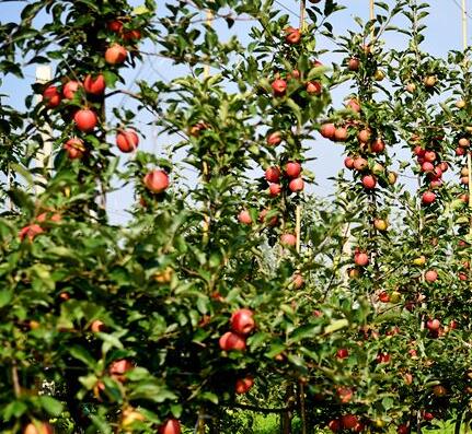 1592545408461671.jpg QQ截图20200619130603.jpg