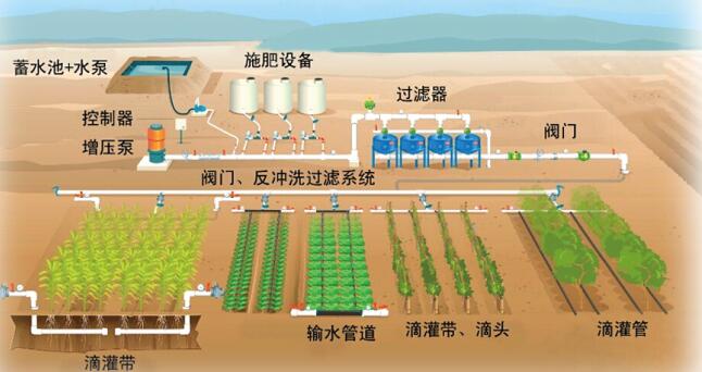 1593427288759759.jpg QQ截图20200629183208.jpg