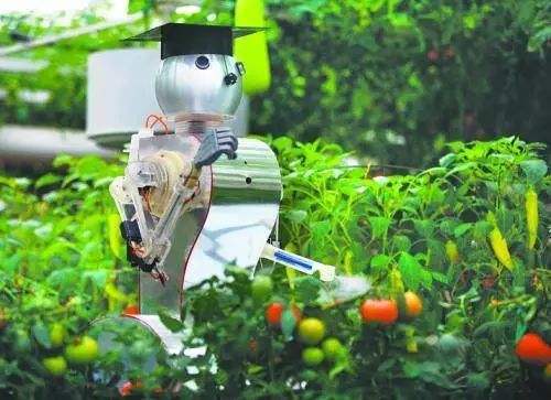 1595556713459917.jpg timg.jpg