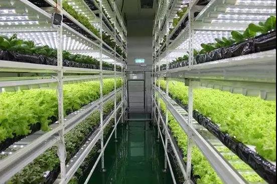 1595556734598892.jpg 微信图片_20200529132744.jpg