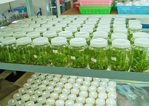 1595556751165782.jpg 微信图片_20200529132737.jpg