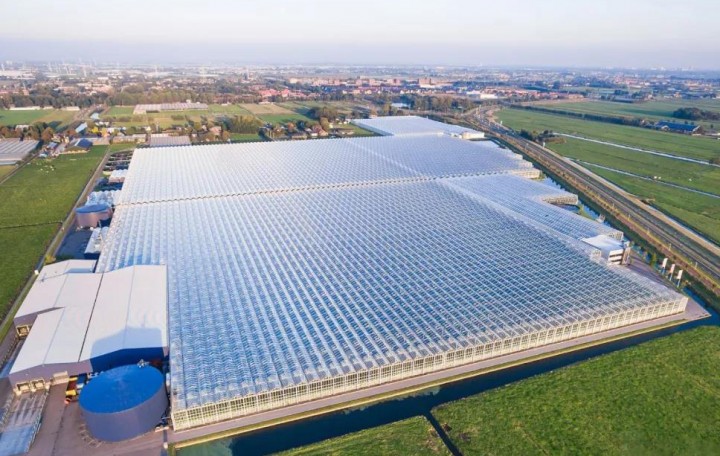 1596162261958762.jpg 温室.jpg