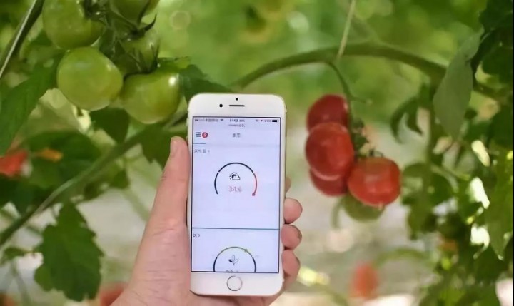 1596162312666769.jpg 微信图片_20200727153411.jpg