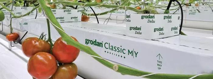 1596162369571287.jpg 微信图片_20200727153839.jpg