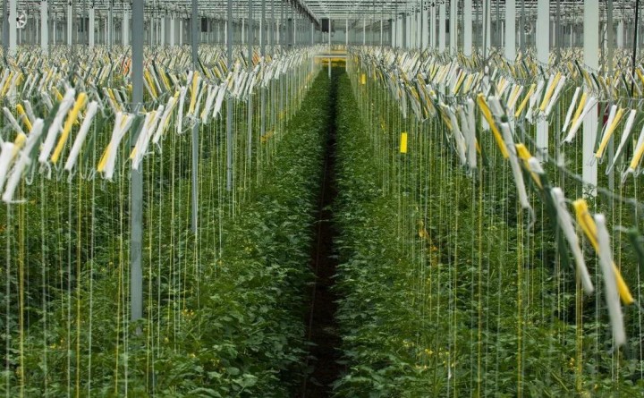 1596162419206696.jpg 微信图片_20200727153910.jpg