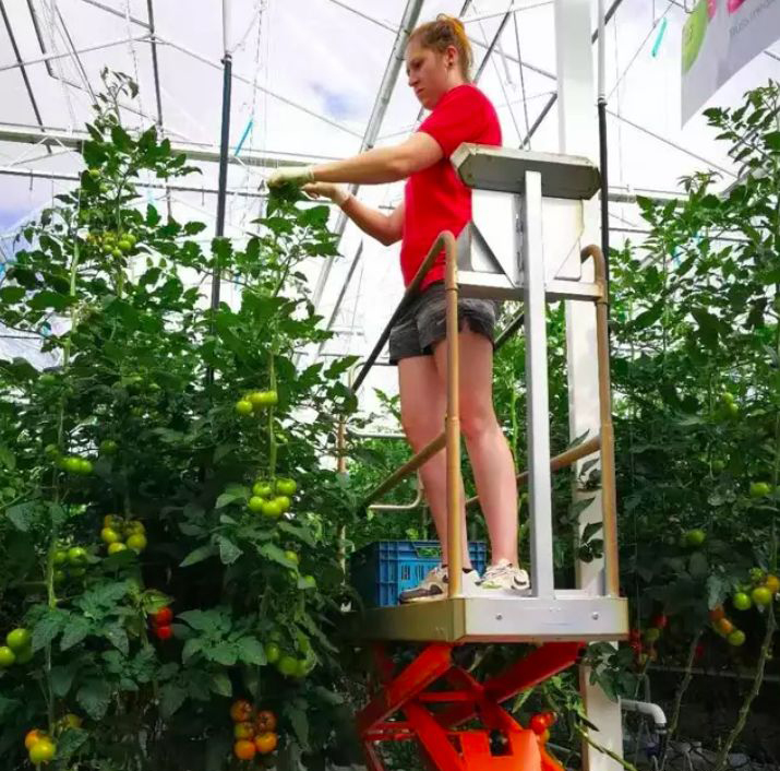 1596162429754807.jpg 微信图片_20200727153917.jpg