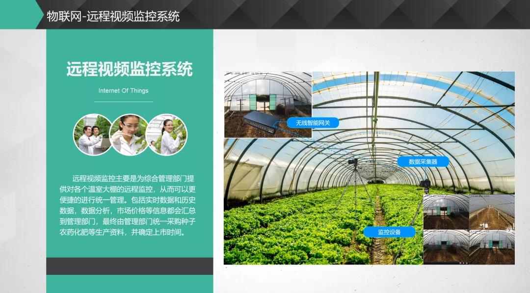 1597914918163745.jpg 33.jpg