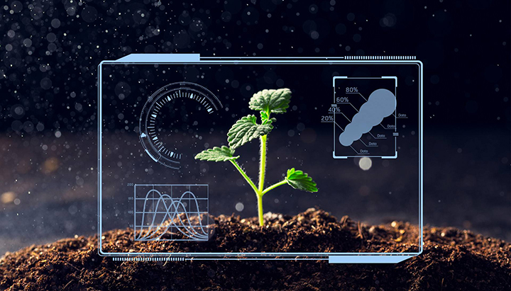 1597915026918609.jpg 23.jpg