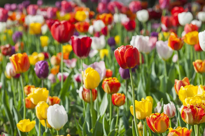 1602231221236309.jpg 55.jpg