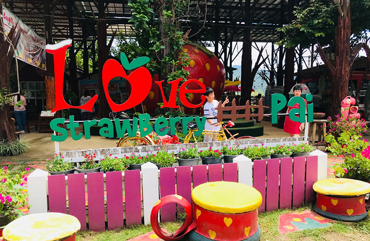 1603273387817846.jpg 1.jpg