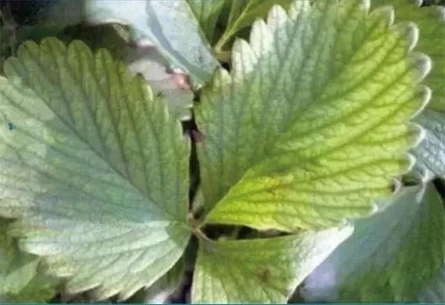 1605602638711272.jpg 10铜.jpg