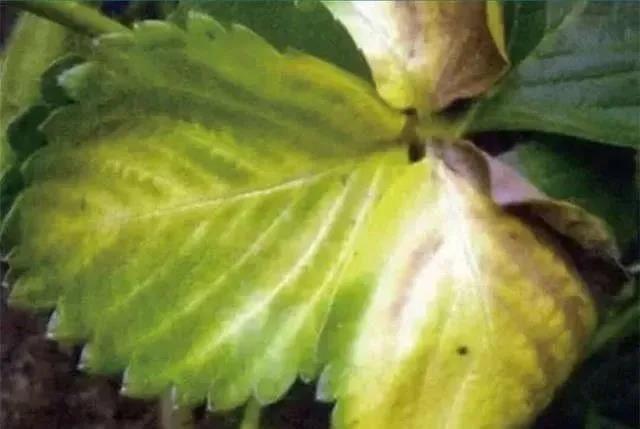 1605602653174847.jpg 11目.jpg