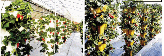 1605754604110097.png 吊挂立柱.png