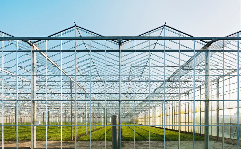 1605775881771812.jpg 11.jpg