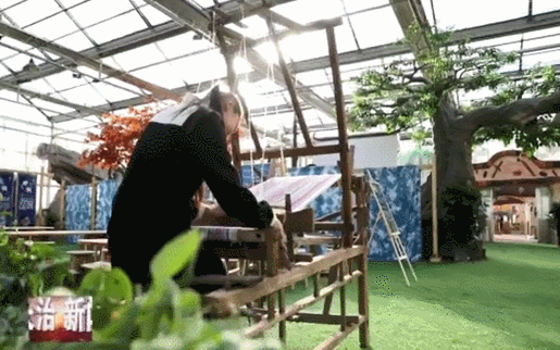 4.gif
