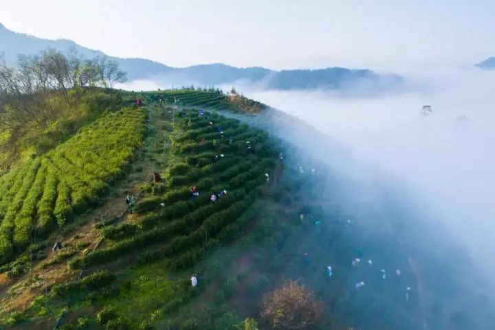 微信图片_20220719082233.jpg