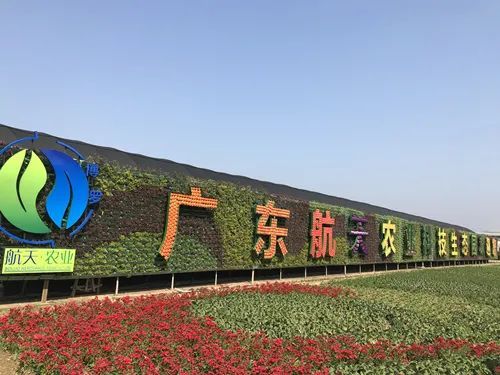 1680833004794208.jpg