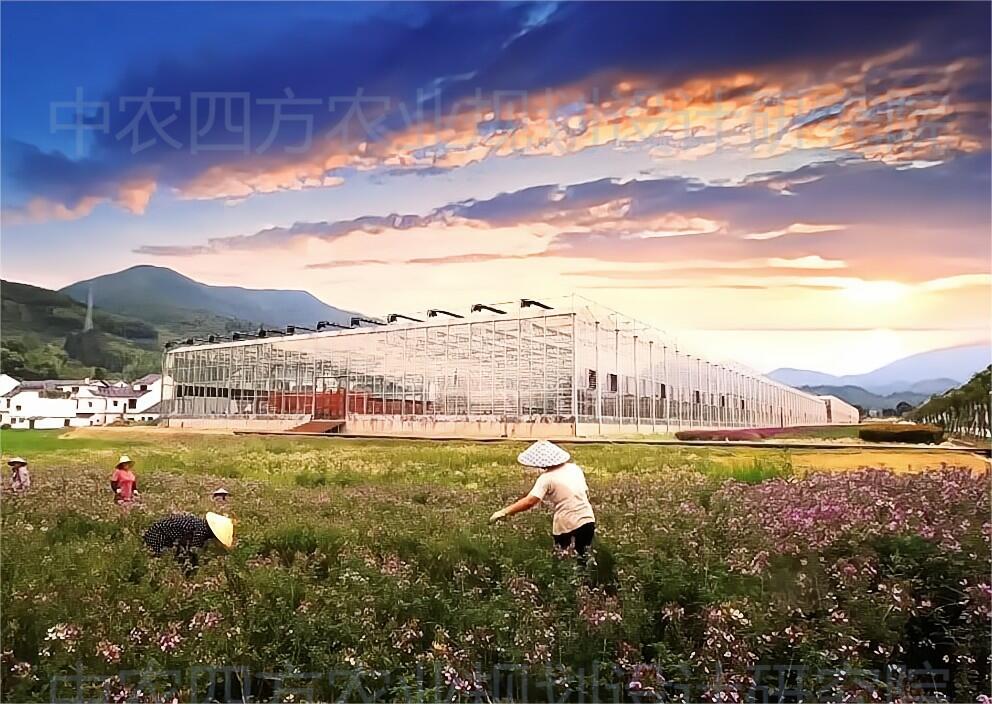图片 10.jpg